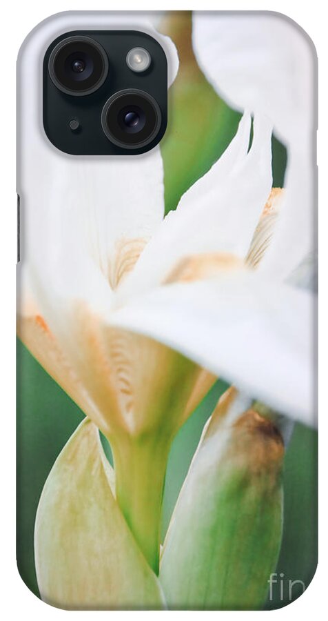 Iris iPhone Case featuring the photograph Floral 47 by Andrea Anderegg