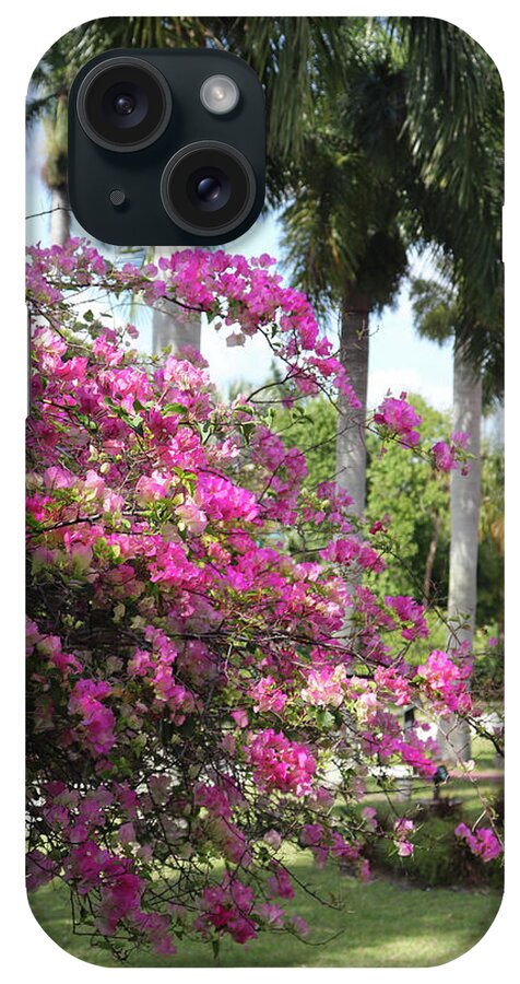 Pink Blossoms iPhone Case featuring the photograph Florida Blossoms and Palms by David T Wilkinson