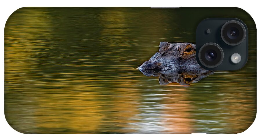 Aligator iPhone Case featuring the photograph Florida Gator 4 by Larry Marshall