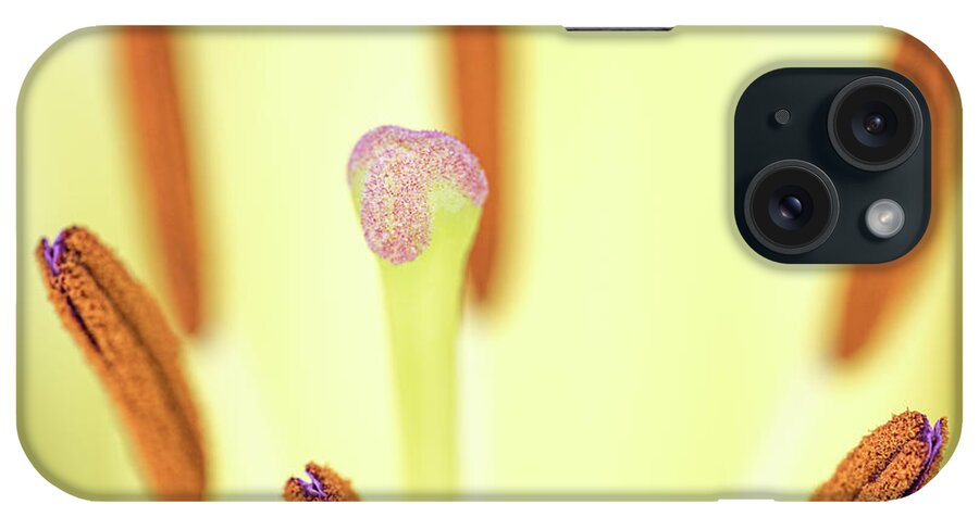 Flower iPhone Case featuring the photograph Flower Close Up by Amelia Pearn