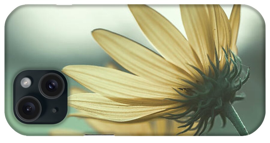 Nature iPhone Case featuring the photograph Flower Dreams by Go and Flow Photos