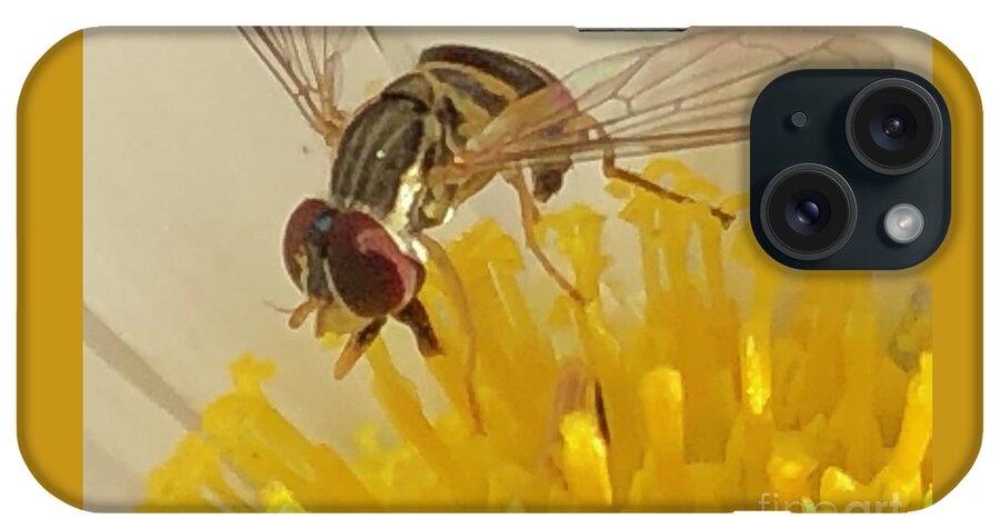 Bugs iPhone Case featuring the photograph Flower Fly by Catherine Wilson