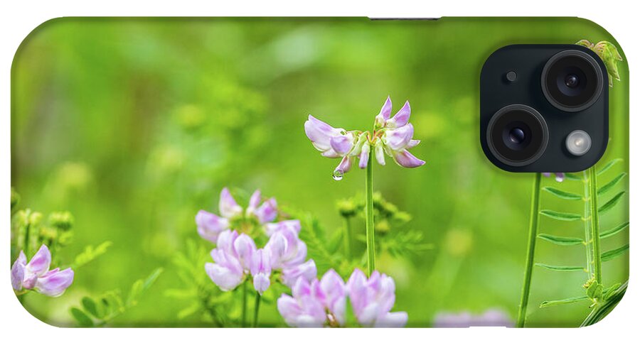 Flower iPhone Case featuring the photograph Flower Photography - Spring Field by Amelia Pearn