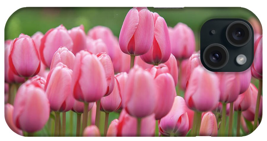 Jenny Rainbow Fine Art Photography iPhone Case featuring the photograph Flower Power. Tulips Design Impression 1 by Jenny Rainbow