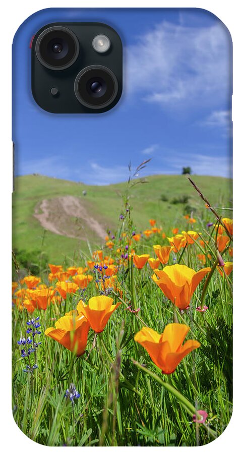 Hand Glider iPhone Case featuring the photograph Flowers and the Human Butterfly by Peng Shi