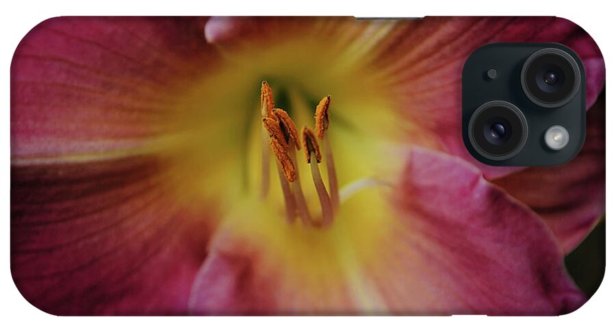 Lily iPhone Case featuring the photograph Flowers of SoCal - Day Lily Flower Macro by Gaby Ethington
