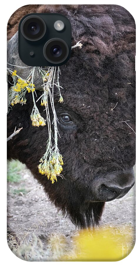 Bison Buffalo Rabbit Brush Photography Portrait In Flowers Yellow Lovely Bull iPhone Case featuring the photograph Flowery Bison by Jami Bollschweiler
