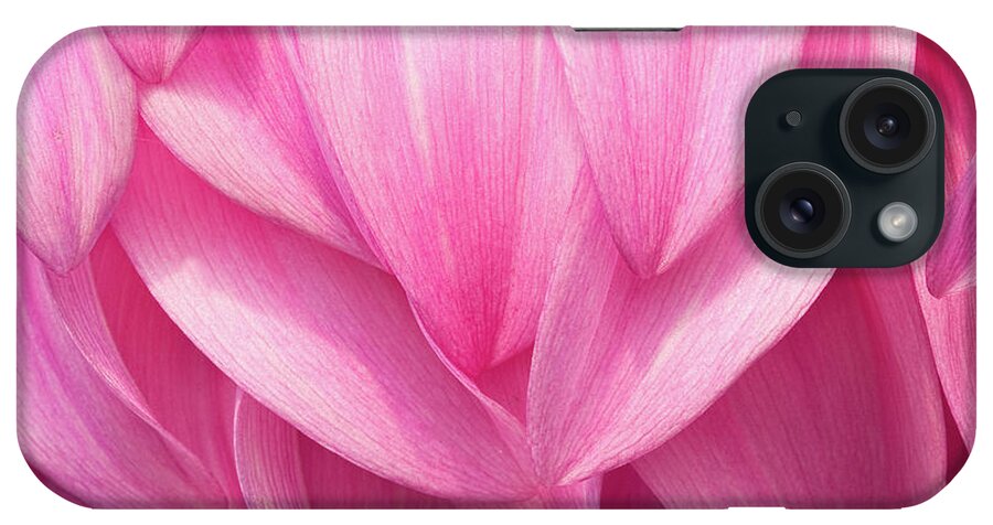 Dahlias iPhone Case featuring the photograph Flowing by Marilyn Cornwell