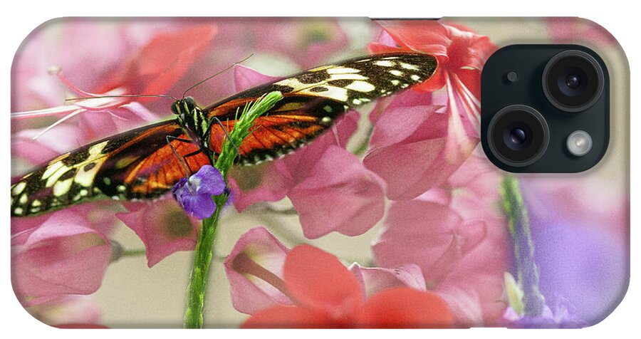 Butterfly iPhone Case featuring the photograph Flutter for a Day by Marilyn Cornwell