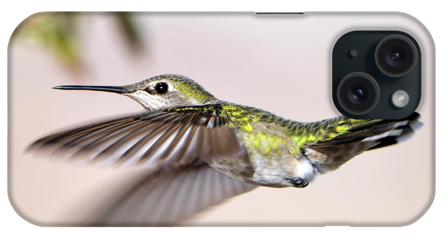 Denise Bruchman Photography iPhone Case featuring the photograph Flying Anna's Hummingbird by Denise Bruchman