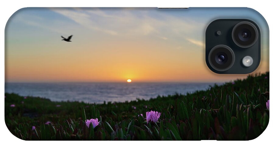 Landscape iPhone Case featuring the photograph Flying into the sunset by Raymond Enriquez