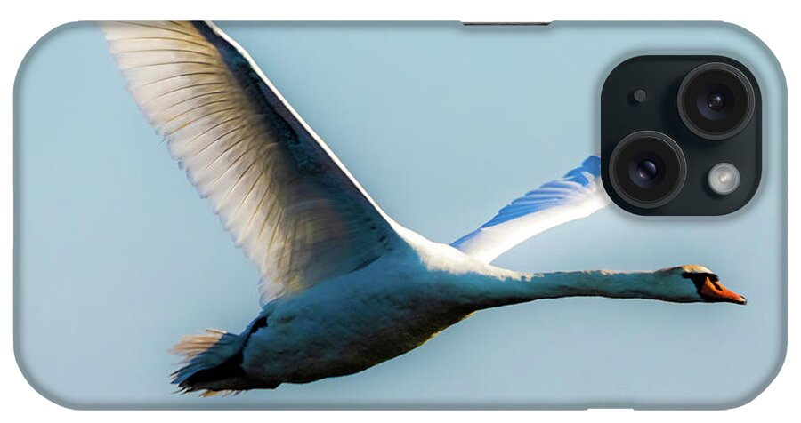 Bird iPhone Case featuring the photograph Flying swan by Casper Cammeraat