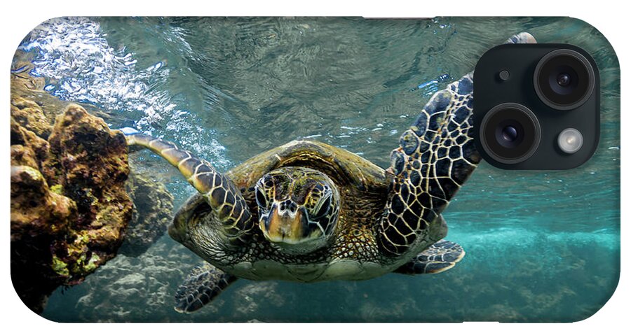 Hawaiian Green Sea Turtle Hawaii Ocean iPhone Case featuring the photograph Flying Turtle by Leonardo Dale