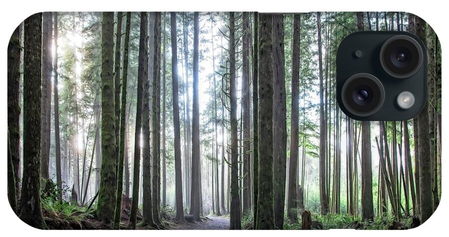 Landscape iPhone Case featuring the photograph Fog and Sun Through The Old Growth by Allan Van Gasbeck