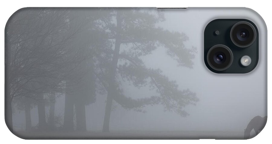 Horse iPhone Case featuring the photograph Fog on a Mellow Morning by Rachel Morrison