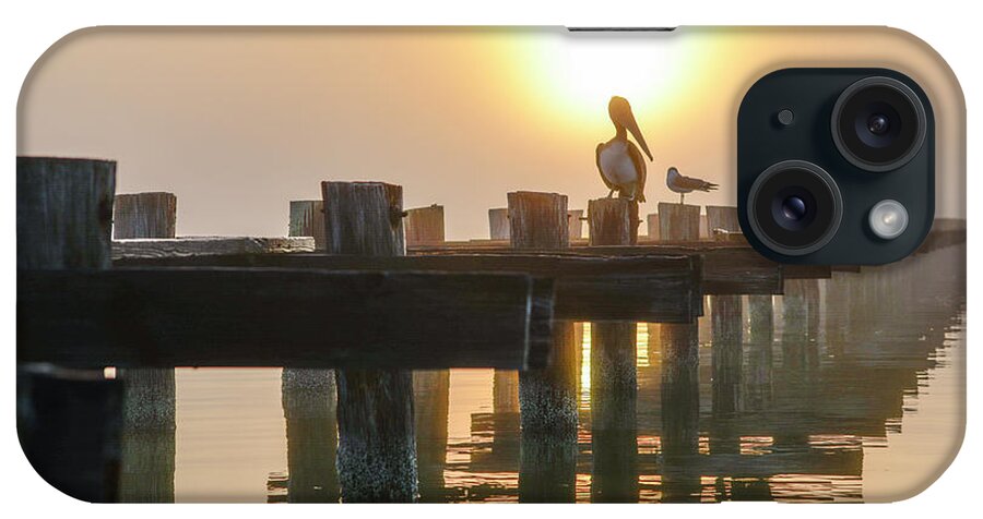 Pelican iPhone Case featuring the photograph Foggy Coastline by Christopher Rice
