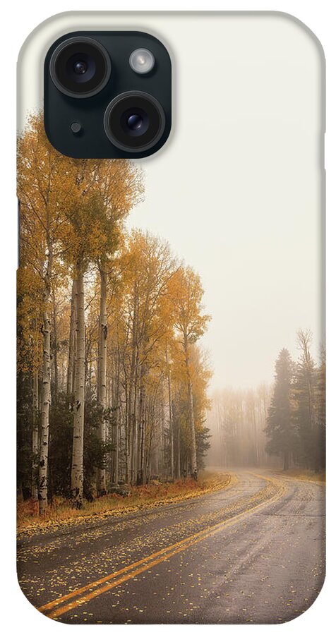 Art iPhone Case featuring the photograph Foggy Forecast by Rick Furmanek