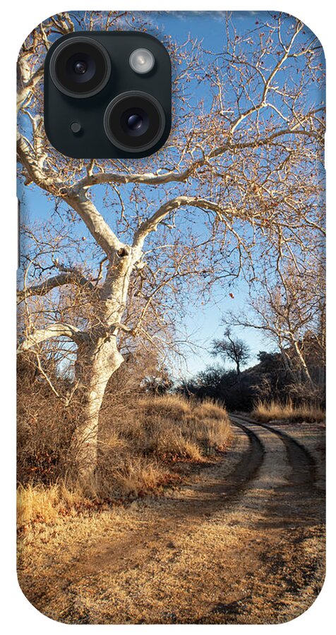 Trees iPhone Case featuring the photograph Follow the Road by the Sycamore Tree by Mary Lee Dereske