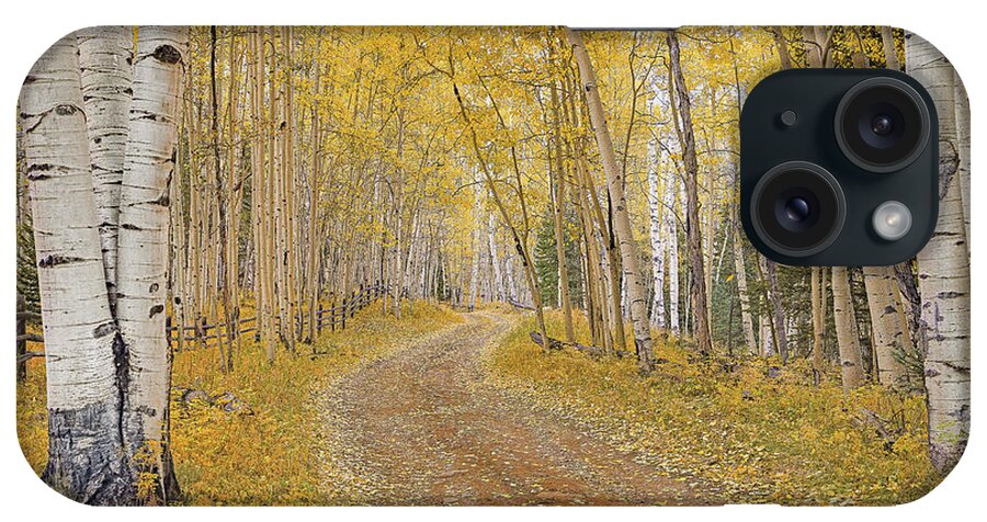 Fall iPhone Case featuring the photograph follow the Yellow Leaf Road by Melissa Lipton