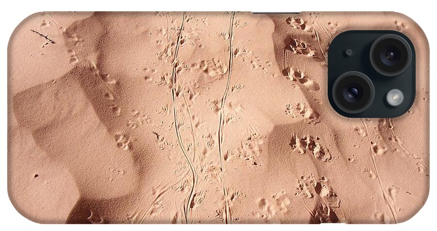 Beach iPhone Case featuring the photograph Footprints in the Sand 3 by Adrienne Wilson