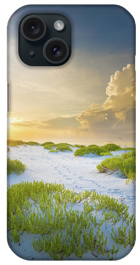 Beach iPhone Case featuring the photograph Footprints To The Seashore Gulf Islands National Seashore by Jordan Hill
