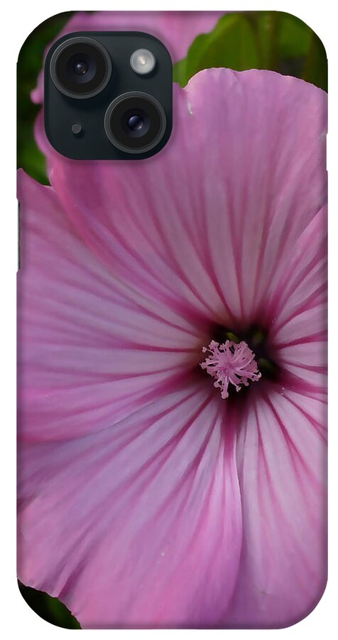 Nature iPhone Case featuring the mixed media For Me by Marvin Blaine