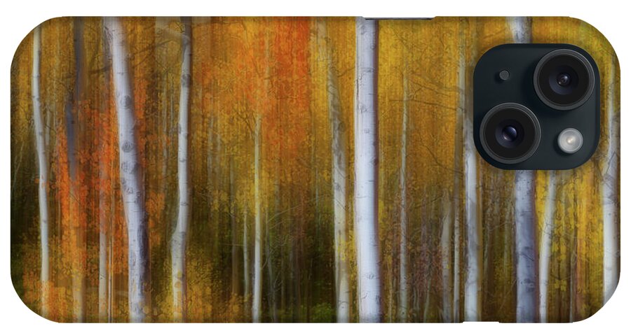 Sunny iPhone Case featuring the photograph Forest Color Burst Modern Abstract by James BO Insogna