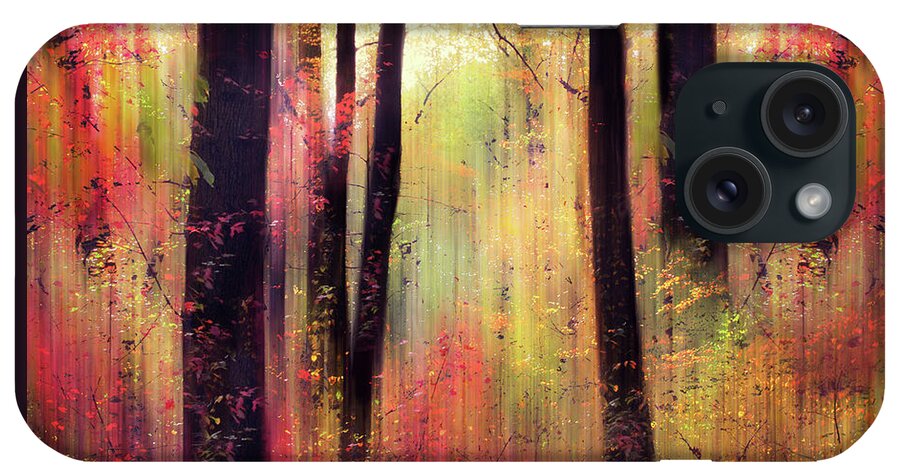 Forest iPhone Case featuring the photograph Forest Frolic by Jessica Jenney