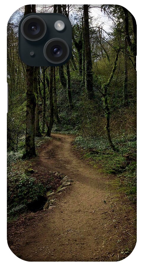 Plants iPhone Case featuring the photograph Forest Path by Mark David Gerson