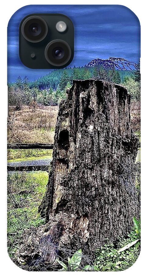 Deforestation iPhone Case featuring the photograph Forest Remnant with Shower Looming by Michael Oceanofwisdom Bidwell