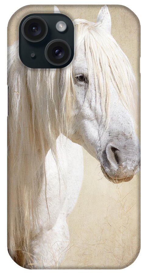 Wild Horses iPhone Case featuring the photograph Forever Free by Mary Hone