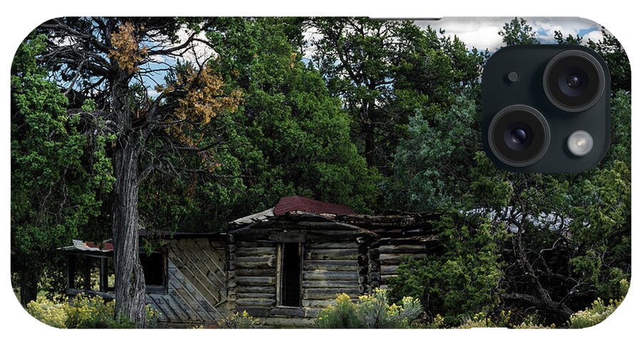 Cabin iPhone Case featuring the photograph Forgotten Homestead - 8783 by Jerry Owens