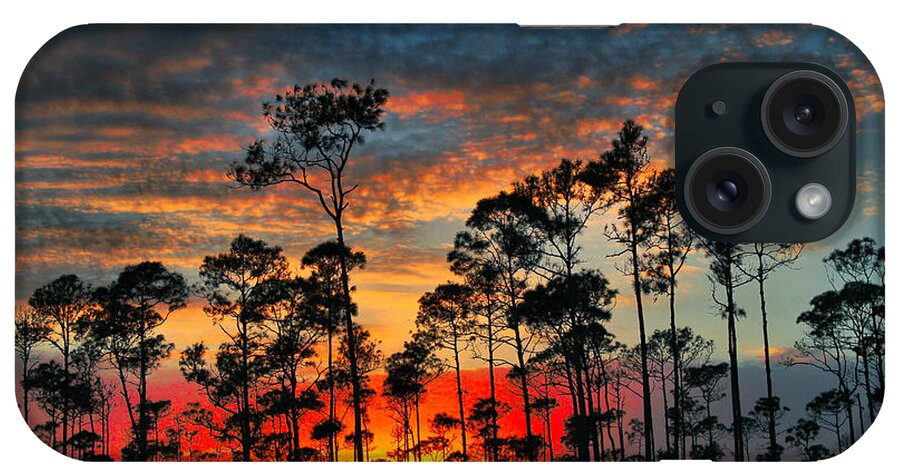 Sunset iPhone Case featuring the photograph Forrest Sunset by Montez Kerr