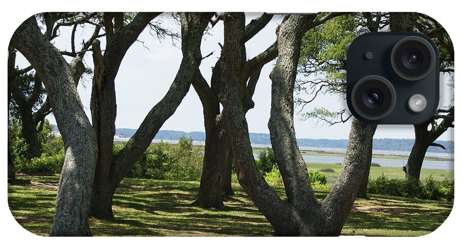  iPhone Case featuring the photograph Fort Fisher Gnarly Oaks by Heather E Harman