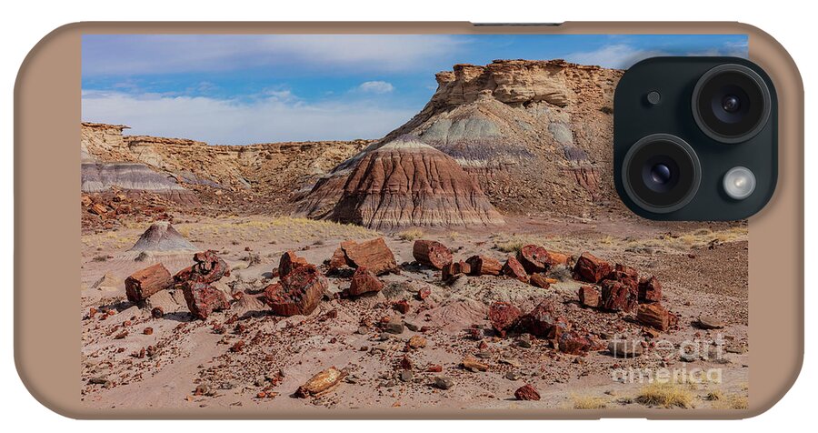 Landscape iPhone Case featuring the photograph Fossil Forest by Seth Betterly
