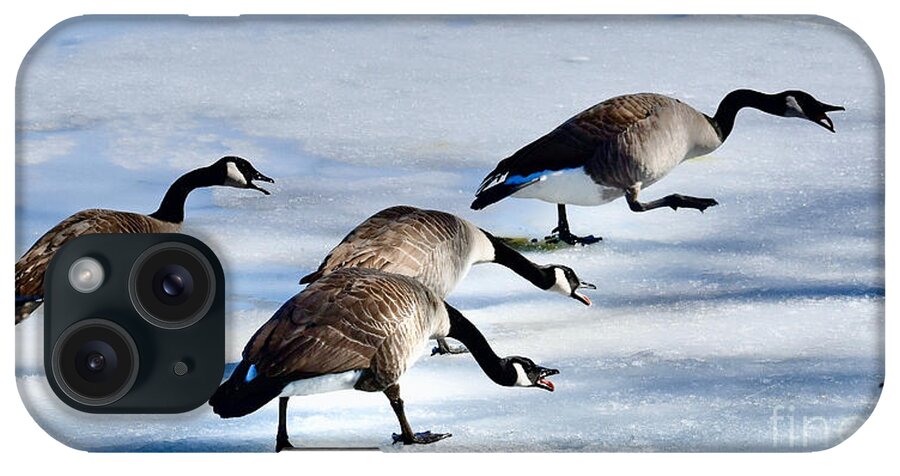 Geese iPhone Case featuring the photograph Four Foul Fowl by Linda Brittain