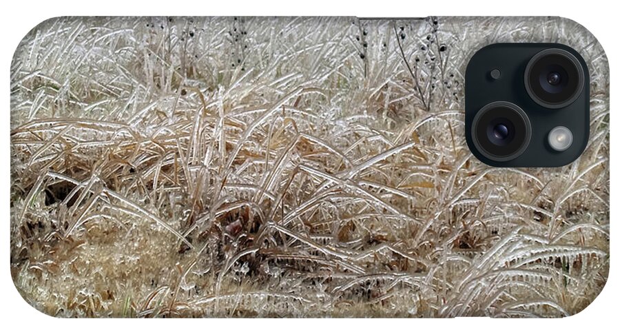 Fine Art iPhone Case featuring the photograph Fragile Grass by Robert Harris