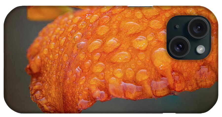 Daylily iPhone Case featuring the photograph Fresh Rain by Kevin Schwalbe