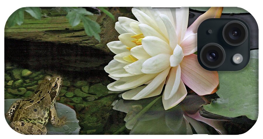 White Waterlily iPhone Case featuring the photograph Frog In Awe of White Water Lily by Gill Billington