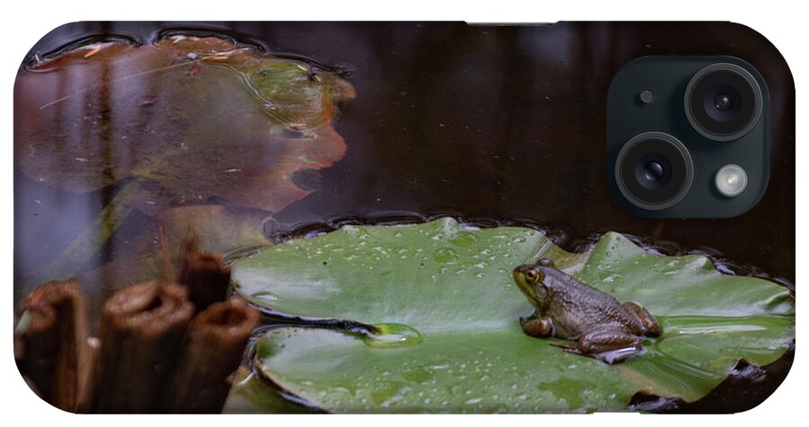 Frog iPhone Case featuring the photograph Frog on Lilly Pad by Lorraine Cosgrove