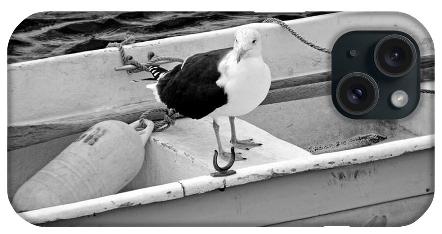 Rockport iPhone Case featuring the photograph From Rockport MA A seagull chilling out in a rowboat Black and White by Toby McGuire