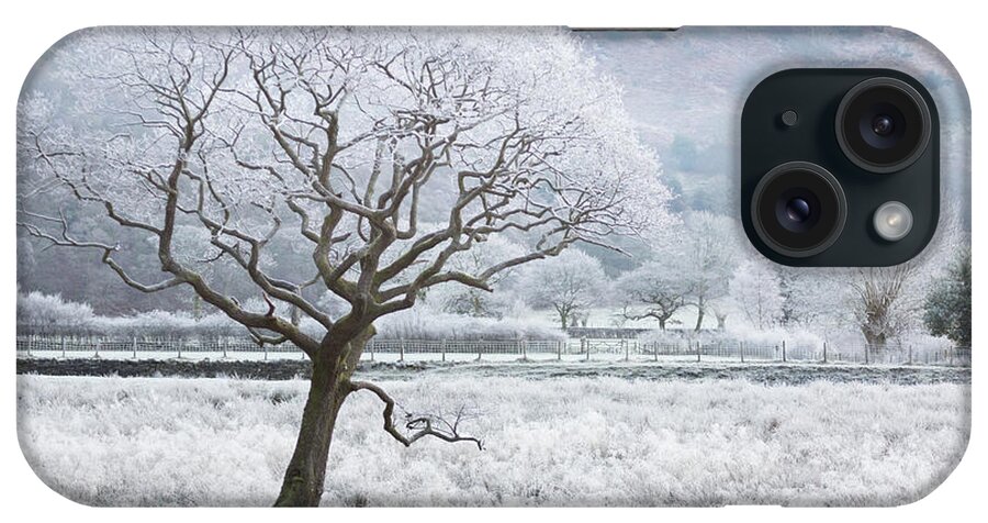 Frost Laced Tree iPhone Case featuring the photograph Frost laced tree, winter's morning, Borrowdale, Lake District by Anita Nicholson