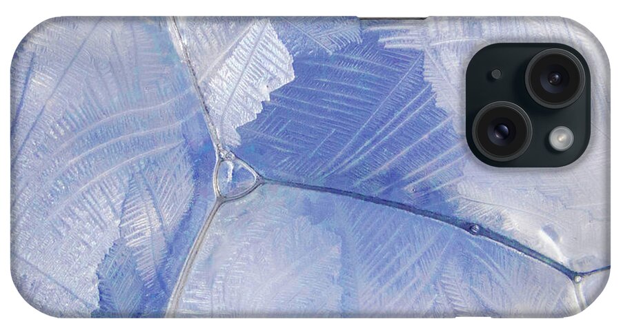 Frost iPhone Case featuring the photograph Frosty Bubbles 5B by Ira Marcus