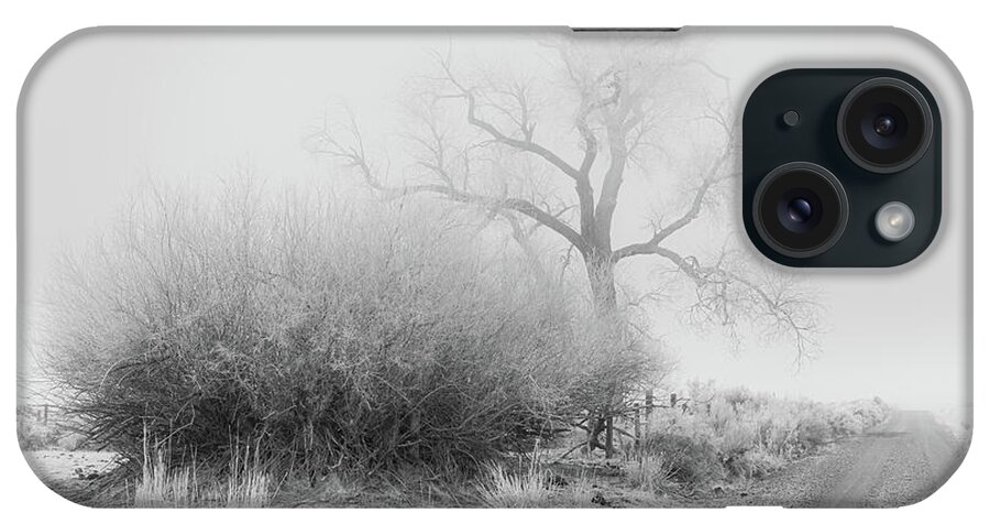 Nature iPhone Case featuring the photograph Frosty Cottonwood in Fog - Monochrome by Mike Lee