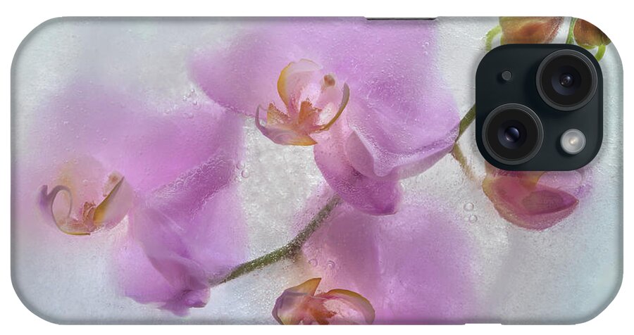 Orchid iPhone Case featuring the photograph Frozen Beauty by Elvira Peretsman