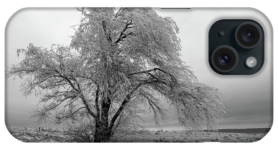 Frozen iPhone Case featuring the photograph Frozen Tree-Black and White by Steve Templeton