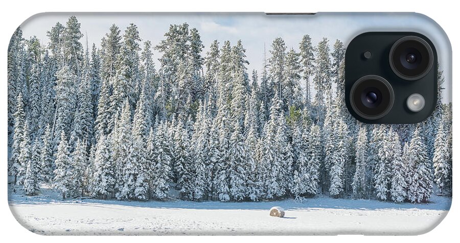 Snow iPhone Case featuring the photograph Frozen Woods by Mike Ste Marie