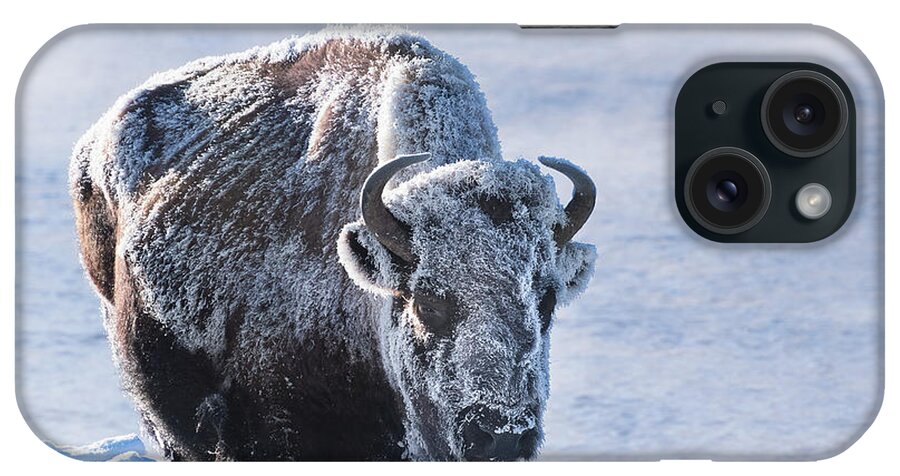 Bison iPhone Case featuring the photograph Frozen Bison by Linda Villers