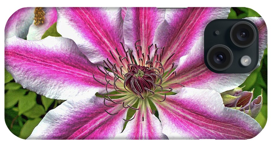 Flower iPhone Case featuring the photograph Full Bloom by Tom Watkins PVminer pixs