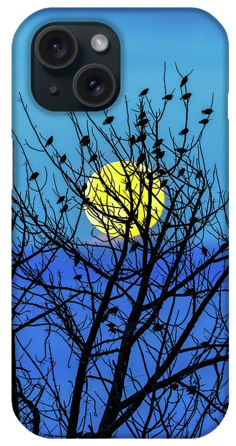 Landscape iPhone Case featuring the photograph Full Moon by Bob Orsillo